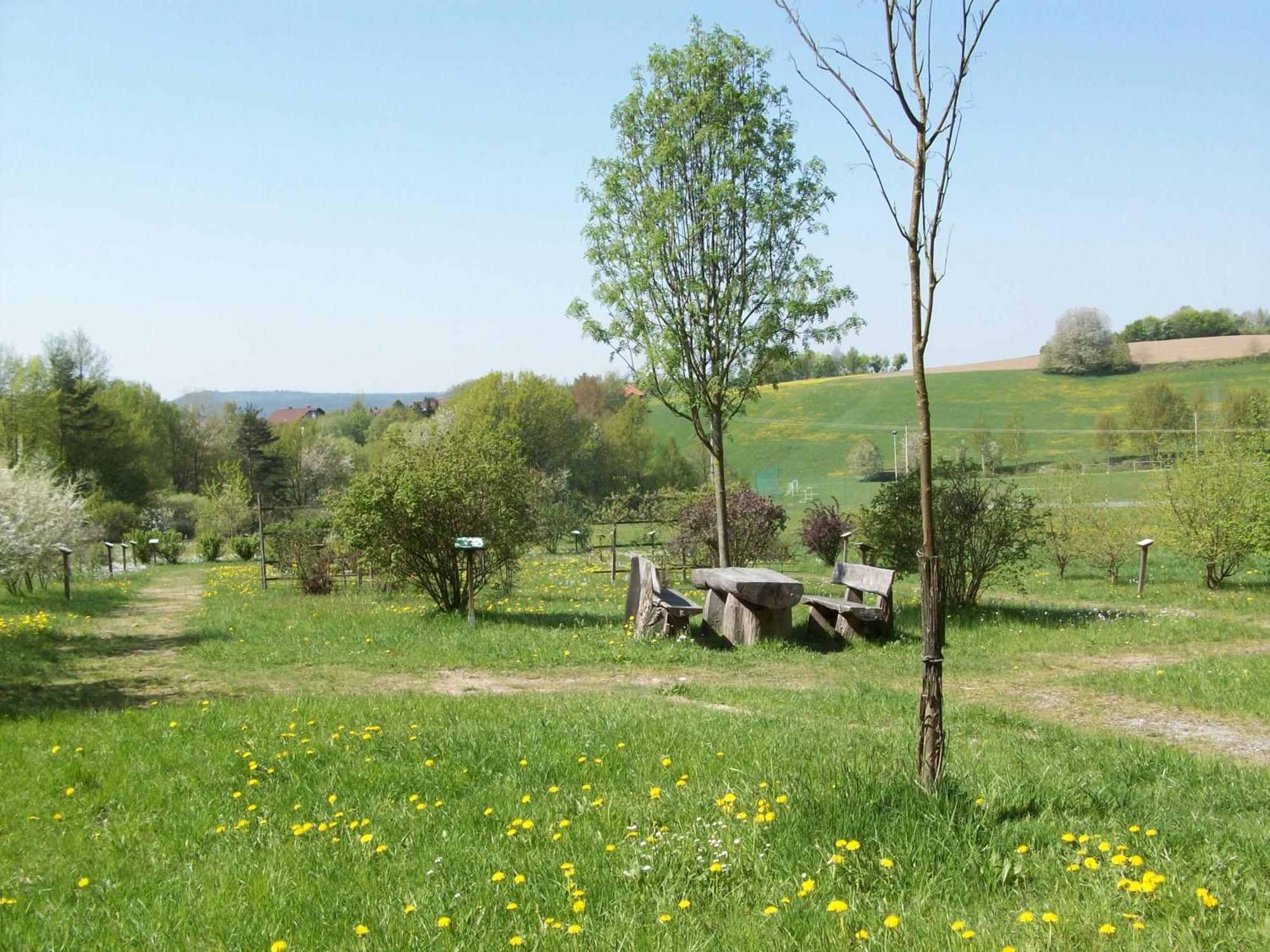 Blockhaus Hedwig Villa Stamsried Buitenkant foto