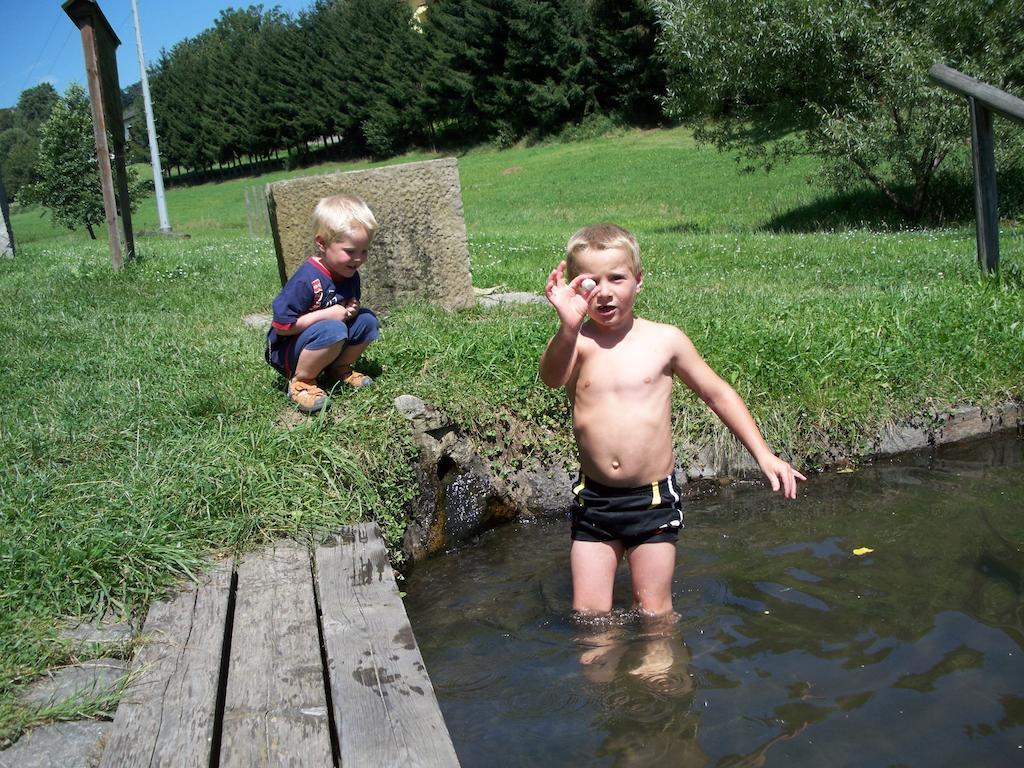 Blockhaus Hedwig Villa Stamsried Buitenkant foto