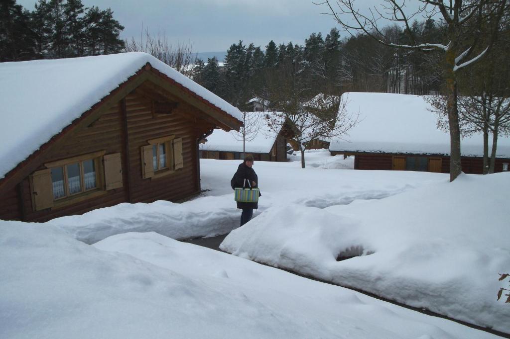 Blockhaus Hedwig Villa Stamsried Buitenkant foto