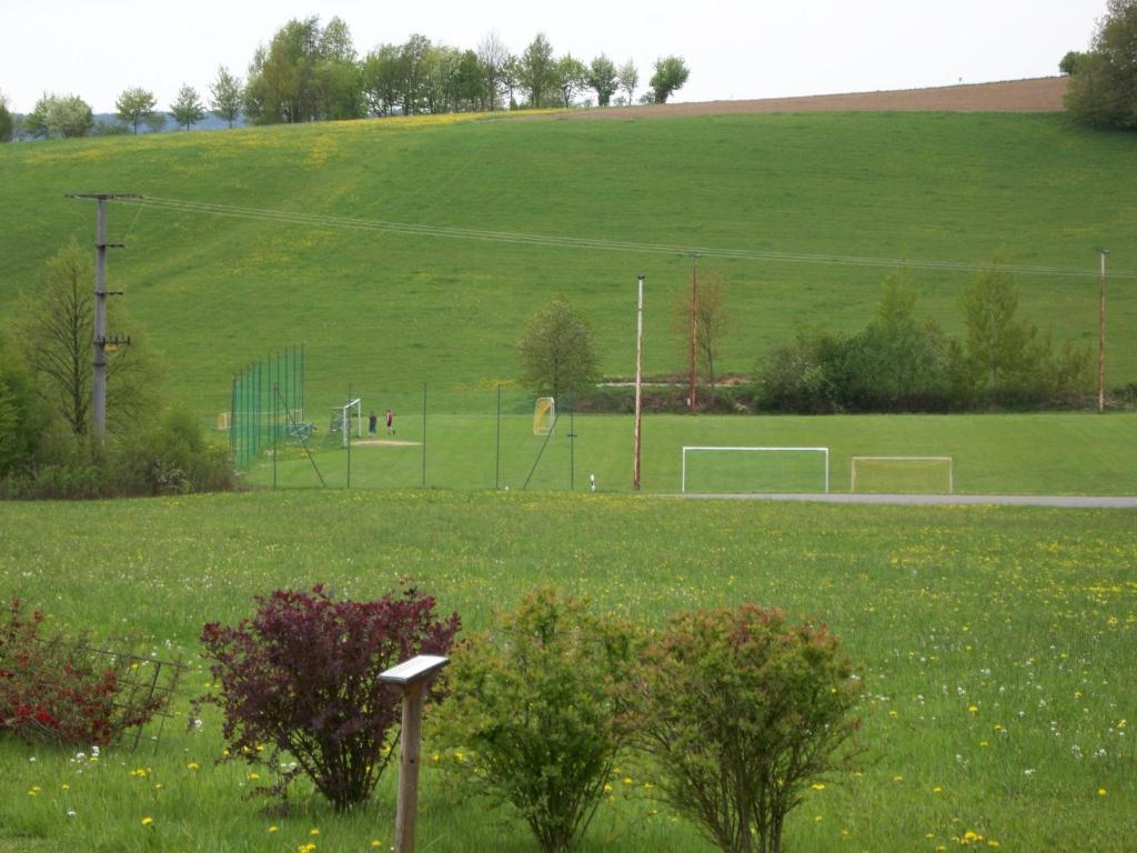 Blockhaus Hedwig Villa Stamsried Buitenkant foto