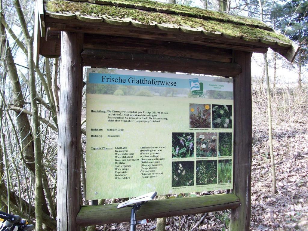Blockhaus Hedwig Villa Stamsried Buitenkant foto
