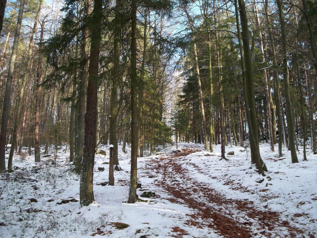 Blockhaus Hedwig Villa Stamsried Buitenkant foto