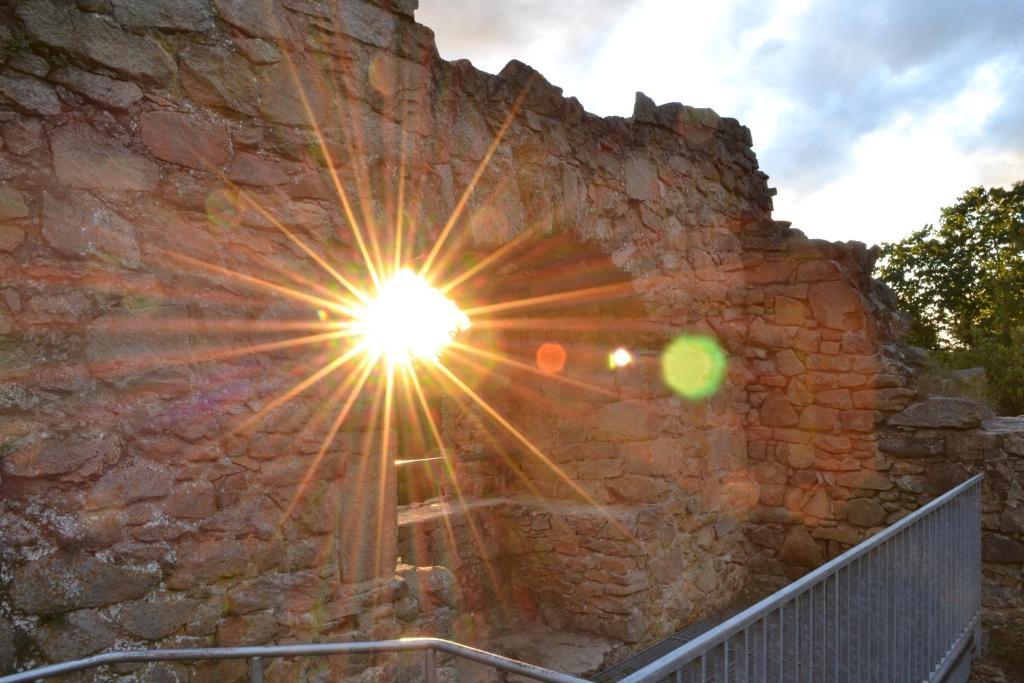 Blockhaus Hedwig Villa Stamsried Buitenkant foto