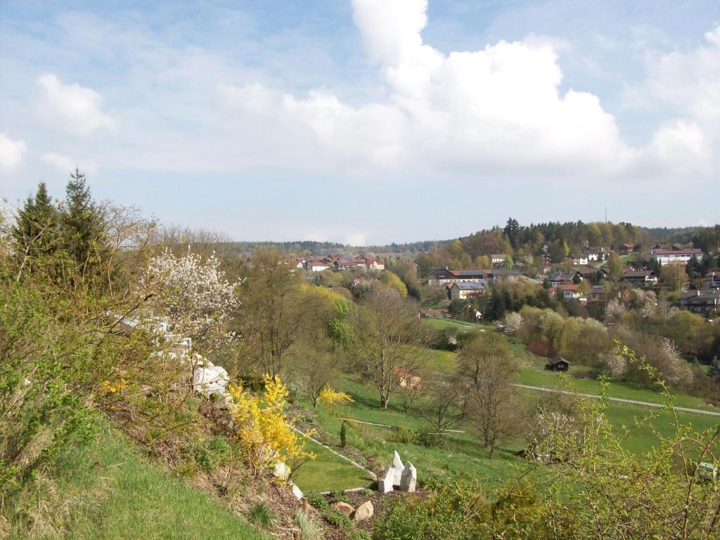 Blockhaus Hedwig Villa Stamsried Buitenkant foto