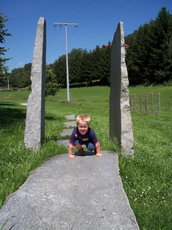 Blockhaus Hedwig Villa Stamsried Buitenkant foto